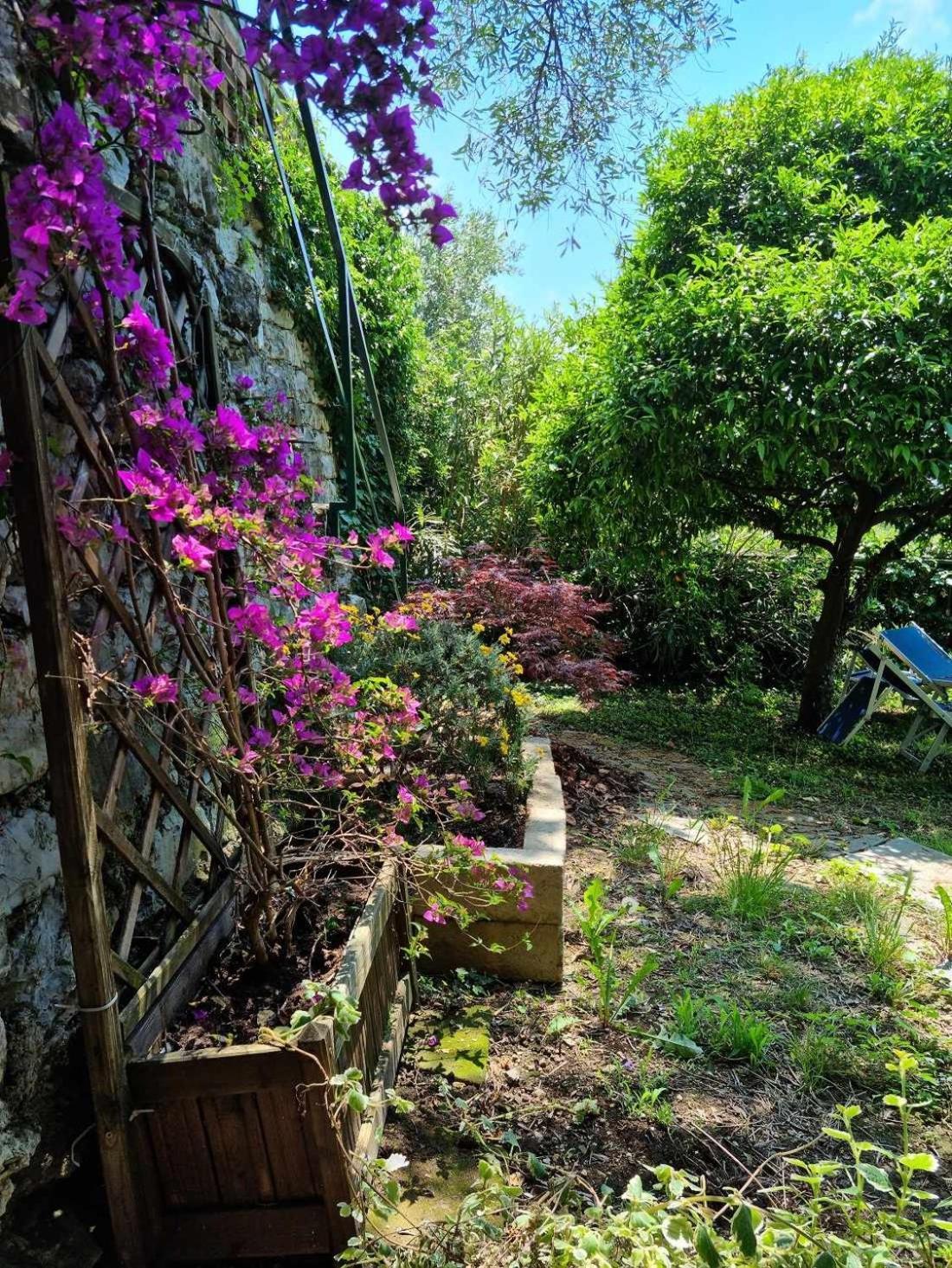 B&B La Terrazza Sui Fieschi Cogorno Cameră foto